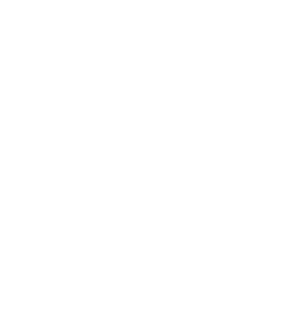 Fluens Logo